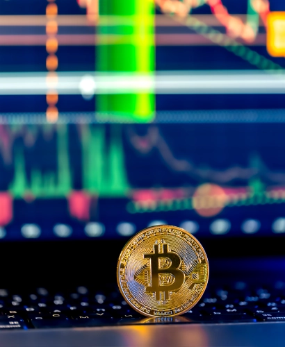 Dorivo Ticaret Bilgileri